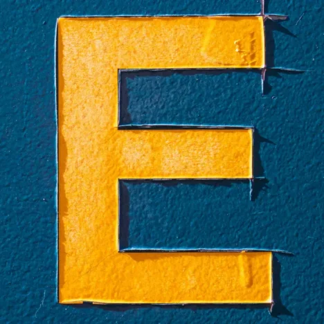 ein "E" als Bild für den Blogbeitrag zum Thema Elementor Update Fehler